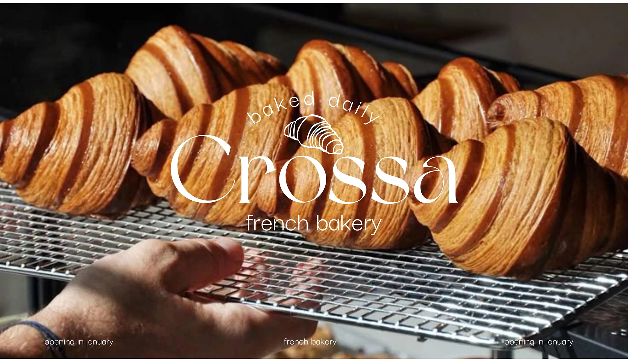 Crossa